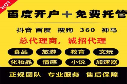 旅游行业SEM托管的成功运用